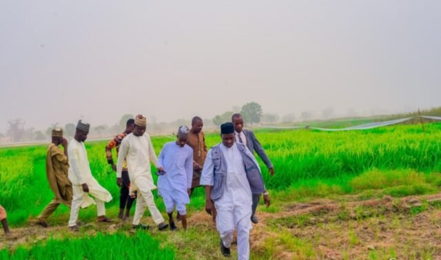 Dutse Local Government Council recorded wide-ranging achievements in major sectors