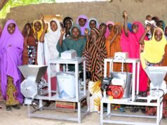 From Farm to Fortune: How New Processing Machines Are Transforming Lives of Women Farmers in Jigawa