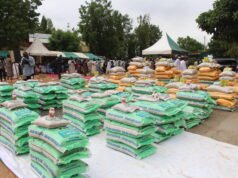 Jigawa’s revolving farm loan scheme hits N7bn as farm activities clocks