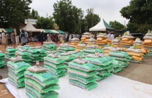 Jigawa’s revolving farm loan scheme hits N7bn as farm activities clocks